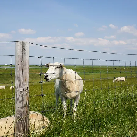 Butjadinger Hof Hotel 2*